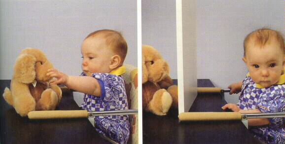 Object permanence sensorimotor online stage